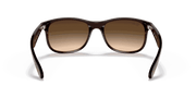 Brown Gradient Lenses, Matte Brown Frame