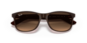 Brown Gradient Lenses, Matte Brown Frame