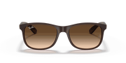 Brown Gradient Lenses, Matte Brown Frame