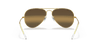 [Silver/Brown Lenses, Polished Gold Frame]