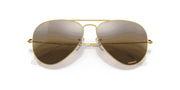 Silver/Brown Lenses, Polished Gold Frame