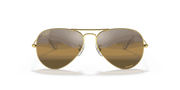 Silver/Brown Lenses, Polished Gold Frame