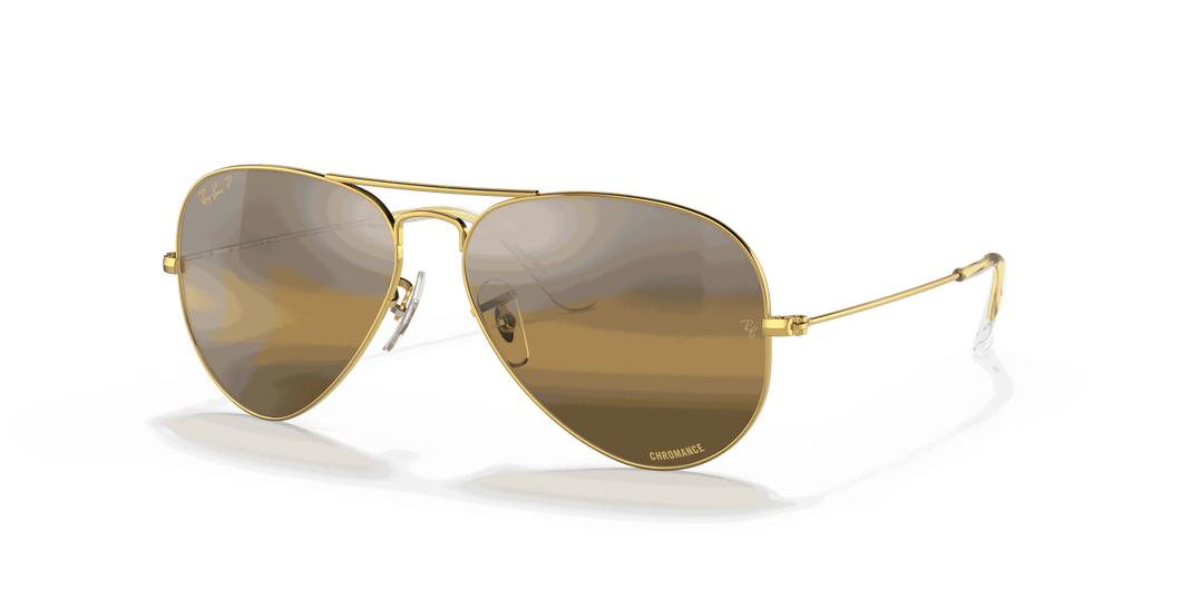 [Silver/Brown Lenses, Polished Gold Frame]