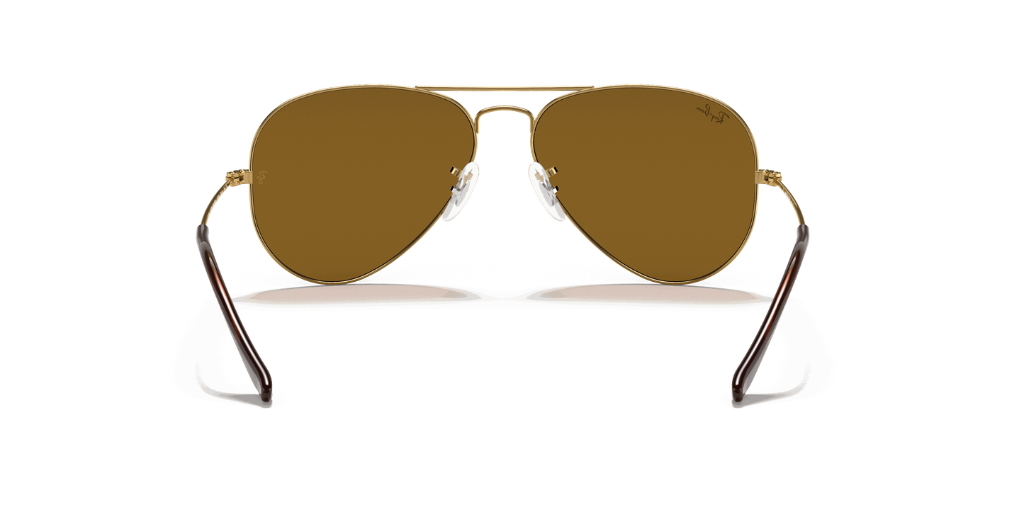 [B-15 Brown Lenses, Polished Arista Gold Frame]