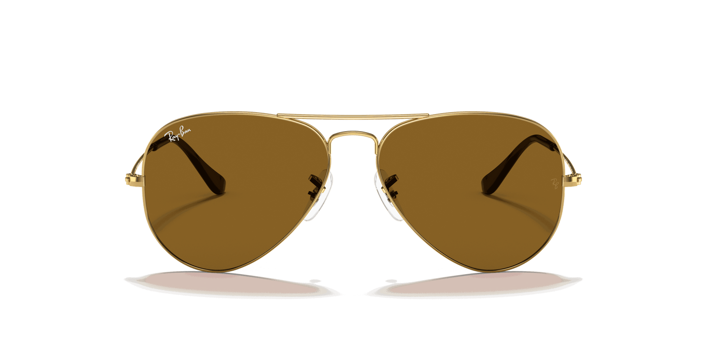 [B-15 Brown Lenses, Polished Arista Gold Frame]