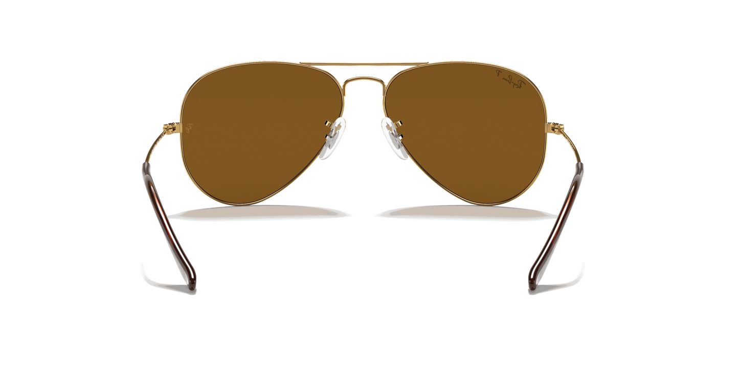 [Brown Lenses, Polished Arista Gold Frame]