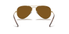 [Brown Lenses, Polished Arista Gold Frame]