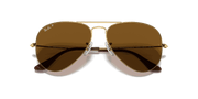 Brown Lenses, Polished Arista Gold Frame