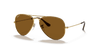 [Brown Lenses, Polished Arista Gold Frame]