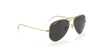 [Black Lenses, Polished Gold Frame]