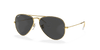 [Black Lenses, Polished Gold Frame]