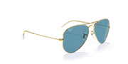 Blue Lenses, Polished Gold Frame