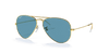 [Blue Lenses, Polished Gold Frame]