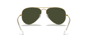 G-15 Green Lenses, Polished Arista Gold Frame