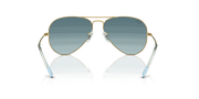 Blue Lenses, Polished Gold Frame