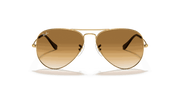 Light Brown Lenses, Polished Arista Gold Frame