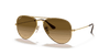 [Brown Lenses, Polished Arista Gold Frame]