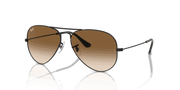 Brown Lenses, Polished Black Frame