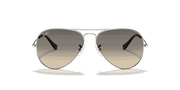 Grey Gradient Lenses, Polished Silver Frame