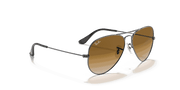 Light Brown Gradient Lenses, Polished Gunmetal Frame