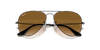 [Light Brown Gradient Lenses, Polished Gunmetal Frame]