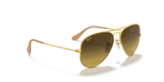 Brown Gradient Lenses, Matte Gold Frame