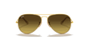 [Brown Gradient Lenses, Matte Gold Frame]