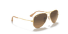 [Brown Lenses, Matte Gold Frame]