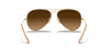 [Brown Lenses, Matte Gold Frame]