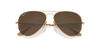 [Brown Lenses, Matte Gold Frame]