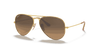 [Brown Lenses, Matte Gold Frame]