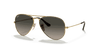 [Grey Gradient Lenses, Polished Arista Gold Frame]