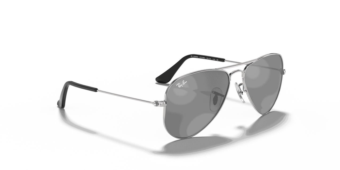 [Grey/Silver Lenses, Polished Silver Frame]