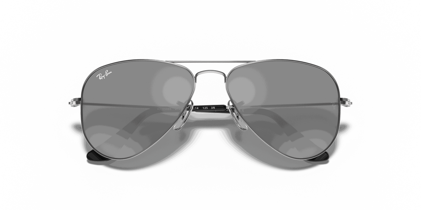 [Grey/Silver Lenses, Polished Silver Frame]