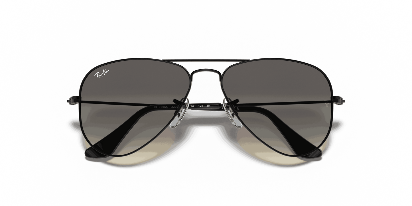 [Light Grey/Dark Grey Lenses, Polished Black Frame]