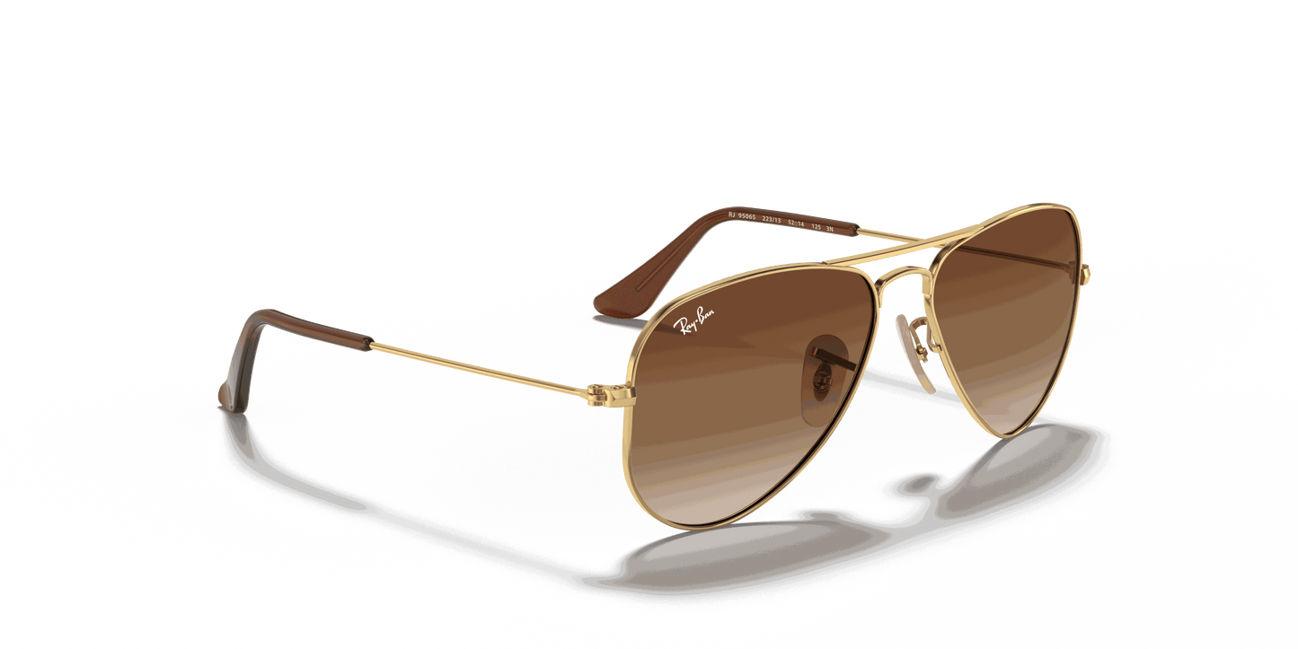 [Brown Lenses, Polished Arista Gold Frame]