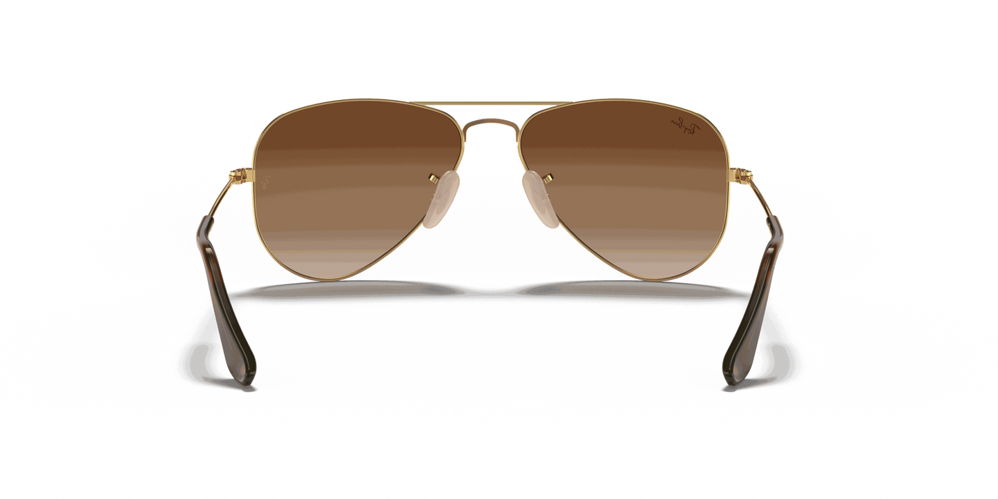 [Brown Lenses, Polished Arista Gold Frame]