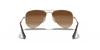 [Brown Lenses, Polished Arista Gold Frame]