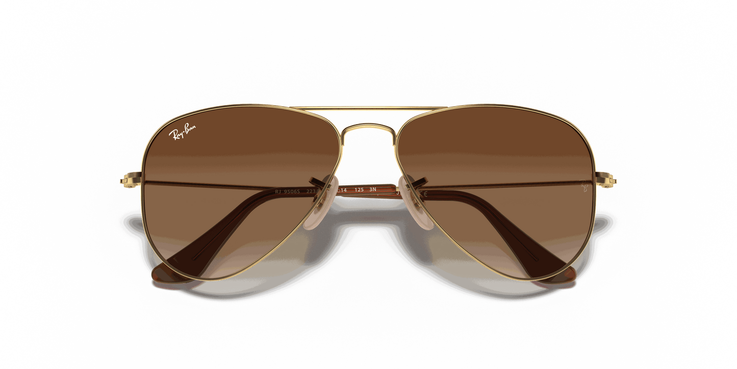 [Brown Lenses, Polished Arista Gold Frame]