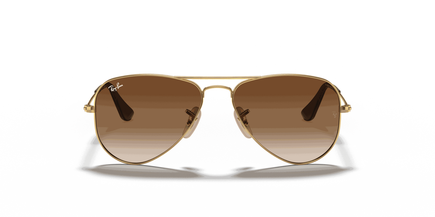 [Brown Lenses, Polished Arista Gold Frame]