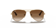 Brown Lenses, Polished Arista Gold Frame