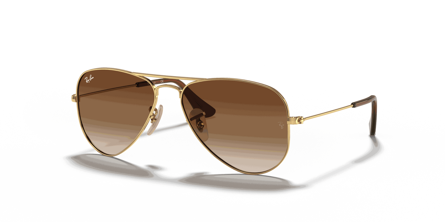 [Brown Lenses, Polished Arista Gold Frame]