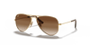 [Brown Lenses, Polished Arista Gold Frame]