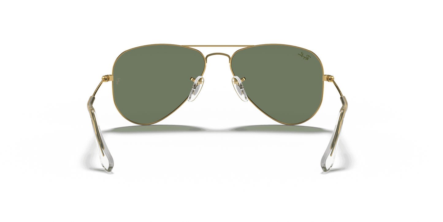 [Dark Green Lenses, Polished Arista Gold Frame]