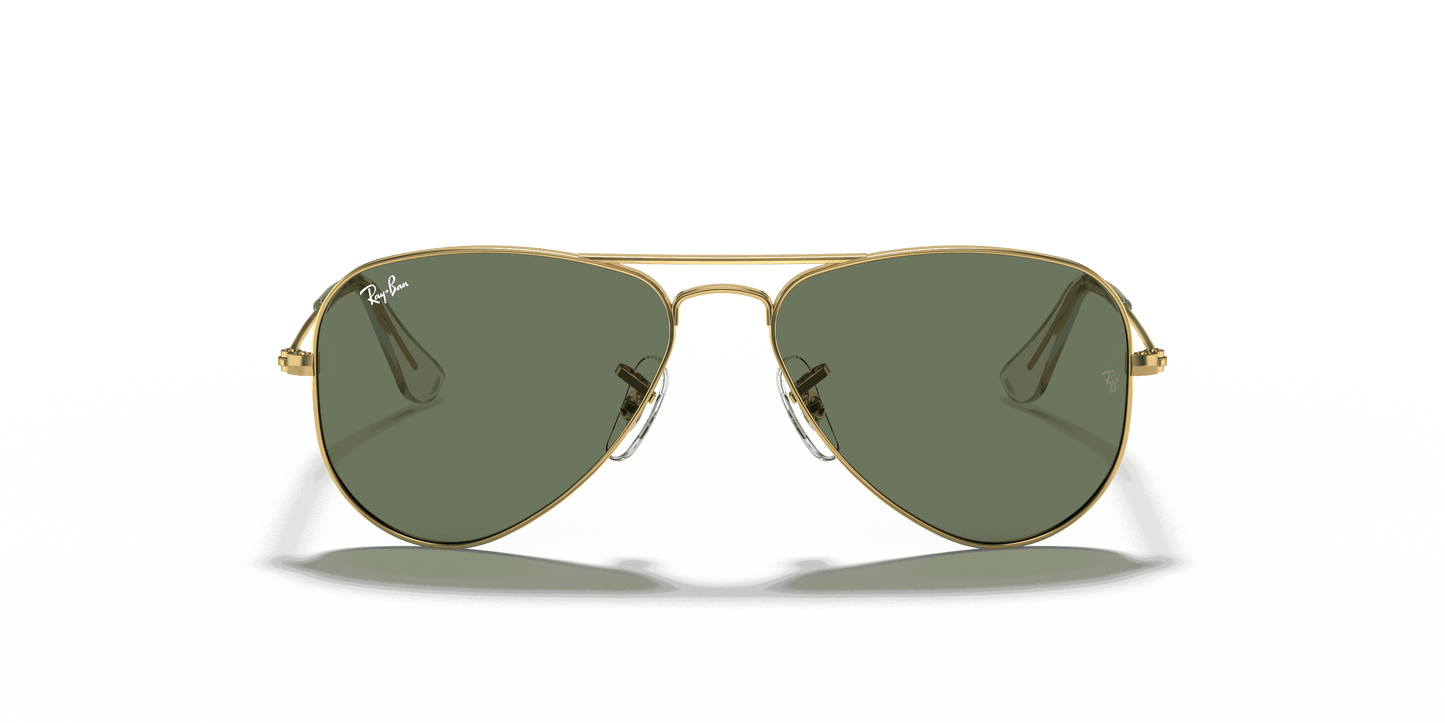 [Dark Green Lenses, Polished Arista Gold Frame]