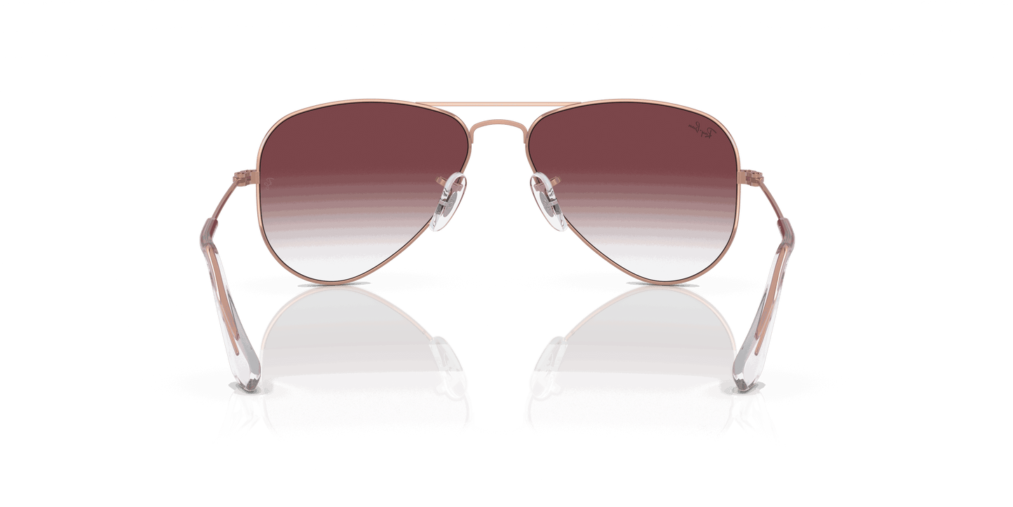 [Gradient Dark Violet Lenses, Polished Rose Gold Frame]