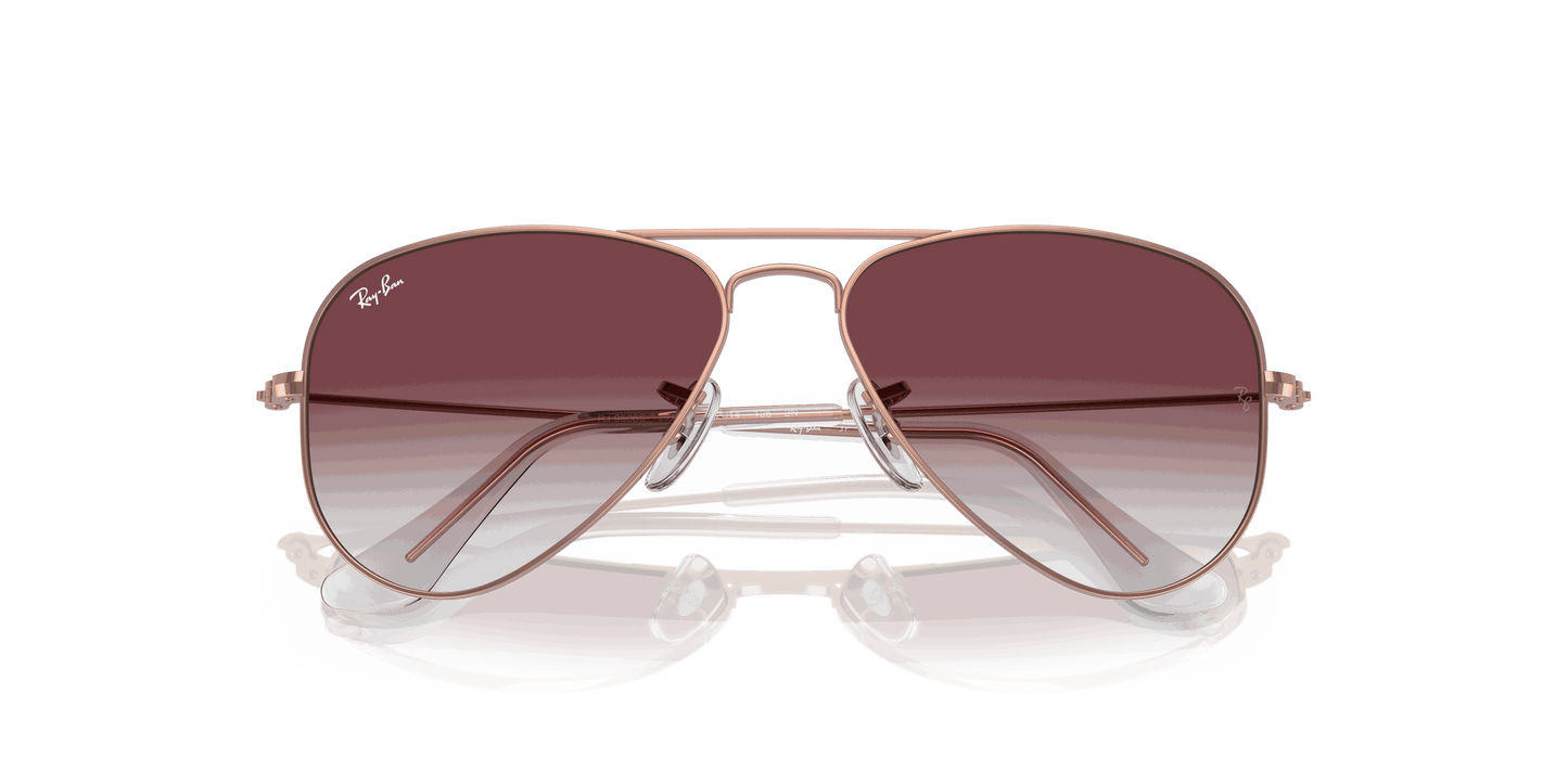[Gradient Dark Violet Lenses, Polished Rose Gold Frame]