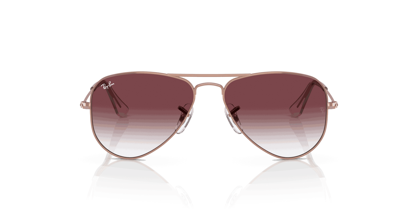 [Gradient Dark Violet Lenses, Polished Rose Gold Frame]