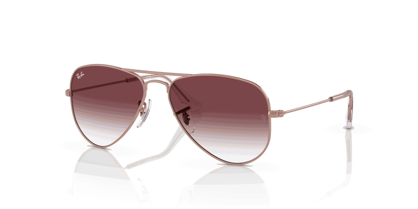 [Gradient Dark Violet Lenses, Polished Rose Gold Frame]
