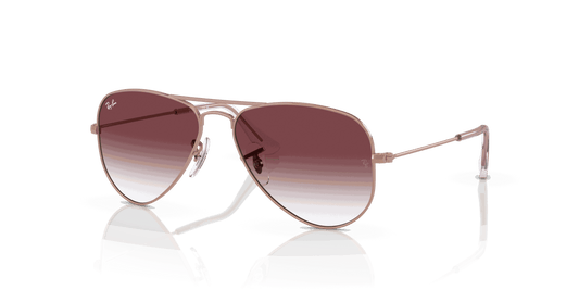 [Gradient Dark Violet Lenses, Polished Rose Gold Frame]